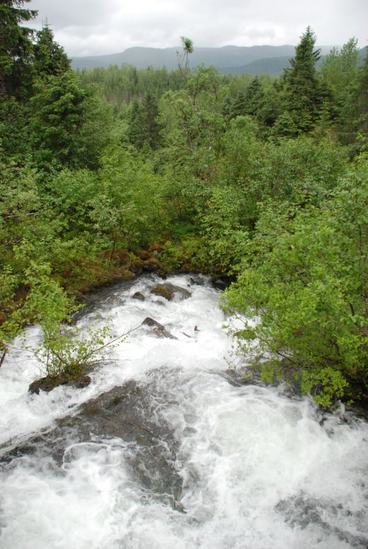 River near Mendenhall Glacier