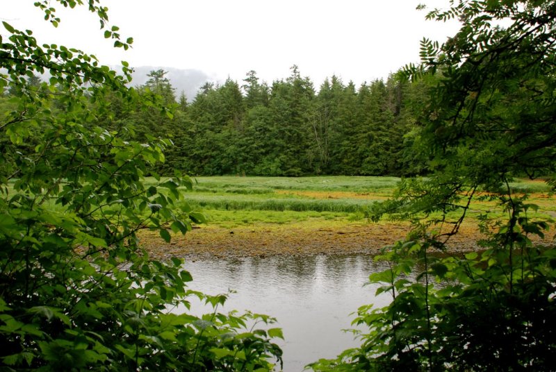 Sitka National Historical Park river