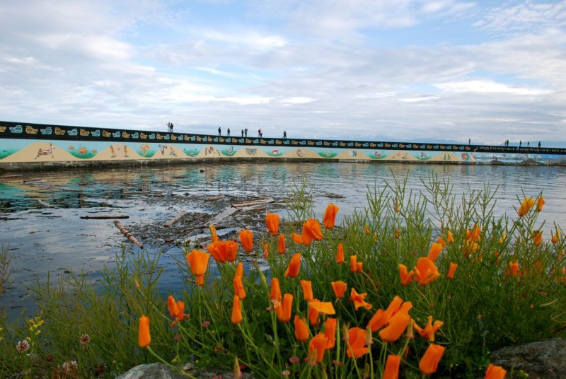 The Lower Breakwater