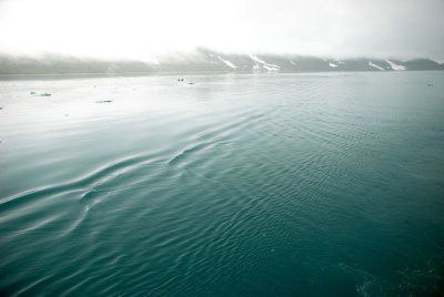 Glacier Bay