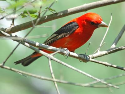 DSC_0035_edited-1.jpg