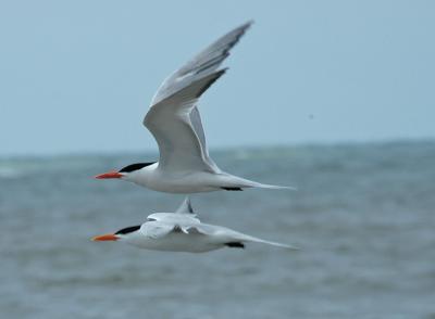 DSC_0046_edited-1.jpg