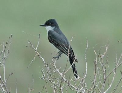 DSC_0069_edited-2.jpg