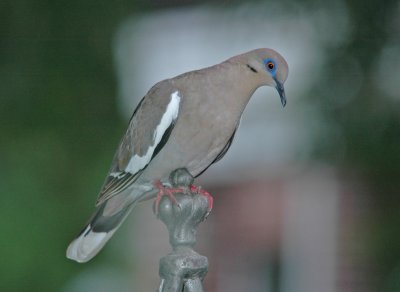 DSC_0001_edited-1.jpg