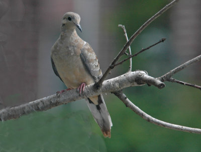 DSC_0002_edited-1.jpg