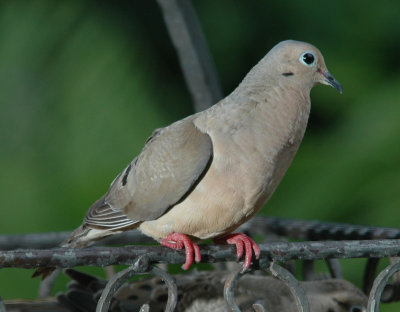 DSC_0006_edited-1.jpg