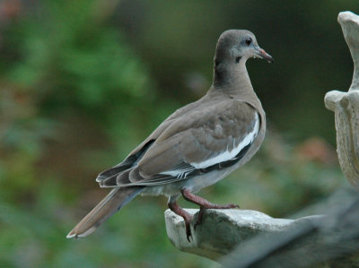 DSC_0007_edited-1-1.jpg