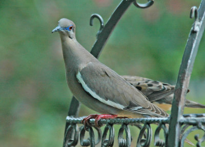 DSC_0009_edited-1-1.jpg