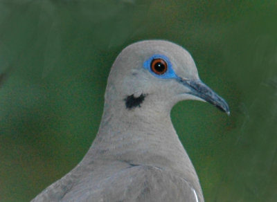 DSC_0016_edited-1.jpg