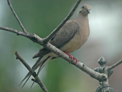 DSC_0033_edited-1.jpg