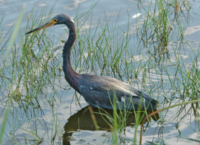 DSC_0025_edited-1.jpg