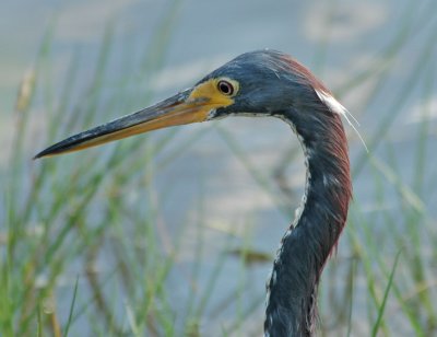 DSC_0026_edited-1.jpg