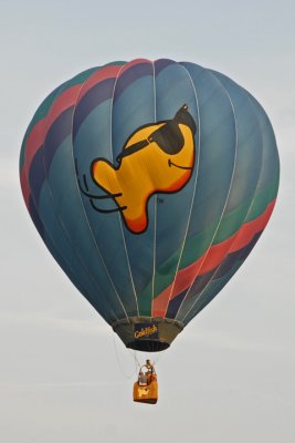Each Balloon is a Canvas for Art and Advertisement.