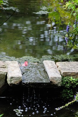 DSC_2054.jpg