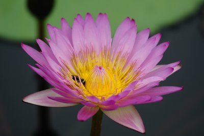 DSC_2107.jpg