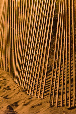 Sand Dune FenceJune 16, 2006