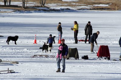 _MG_2293.jpg