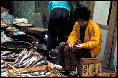 Fish Market, Chunchon