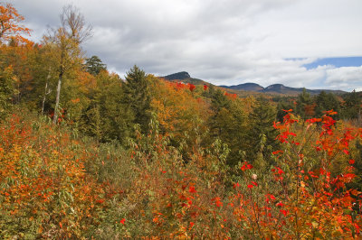 Along the Kancamagus -0041