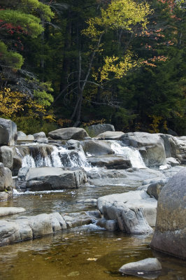 Along the Kancamagus -0065