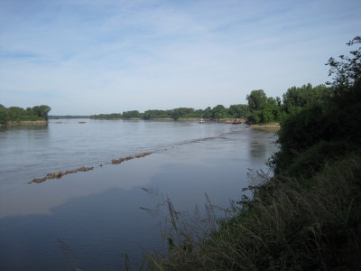 Wing dams on the Missouri.