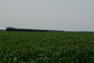The Whole IORY Train