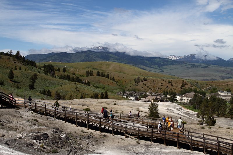 Mammoth at Yellowstone Nat. Park