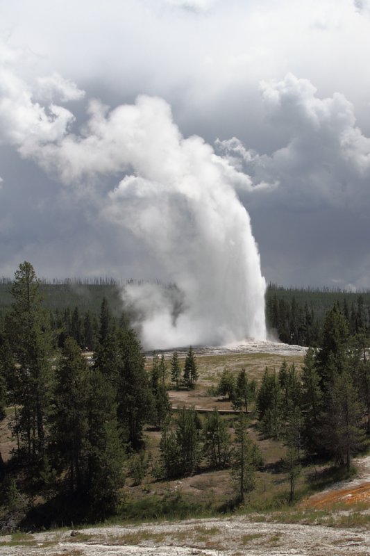 Old Faithful