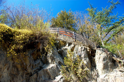 DSC_5342 copy.jpg