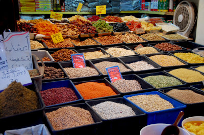 ISR_110613_281 copy.jpg