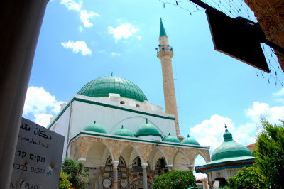 ISR_110613_370 copy.jpg