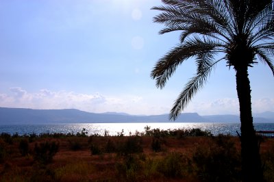 ISR_110614_560 copy.jpg