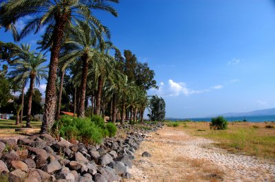 ISR_110614_562 copy.jpg