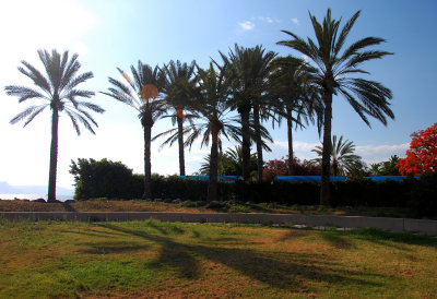 ISR_110621_335 copy.jpg