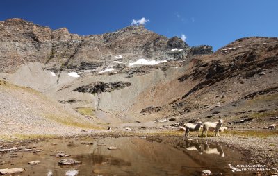 Parc national de la Vanoise-Alpes