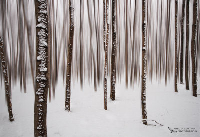 Abstract Winter-Quebec-Canada