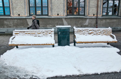 Benches in Snow