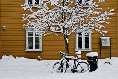 Winter Bike