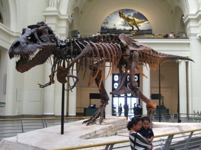 field museum