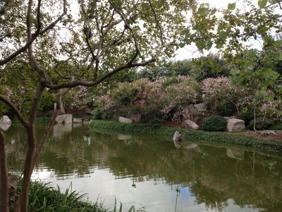 japanese gardens