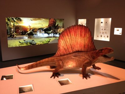 dino