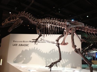 t rex