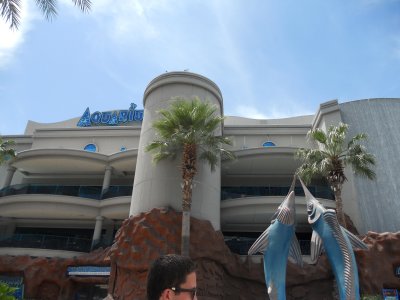 aquarium