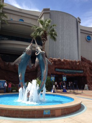 aquarium