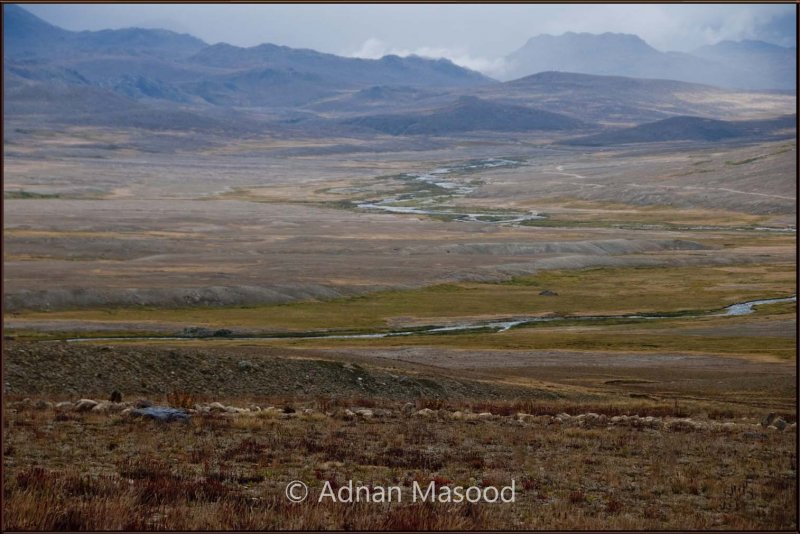 Deosai plains.jpg