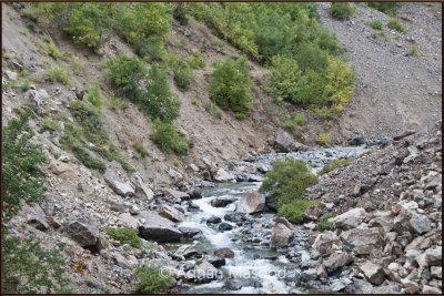 Water Streams along the road.jpg