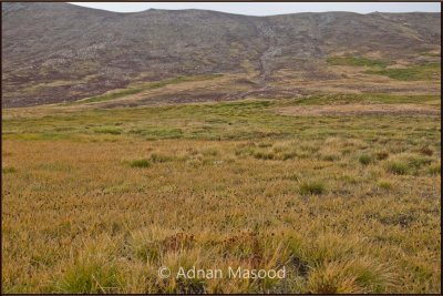 Deosai Plains after Kala pani (Black Water).jpg