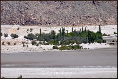 White sands and Indus river.jpg