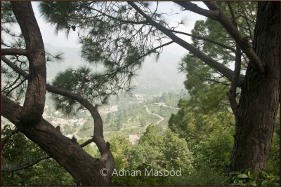 View from Margalla hills in Islamabad.jpg