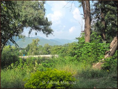 View from Margalla hills in Islamabad.JPG